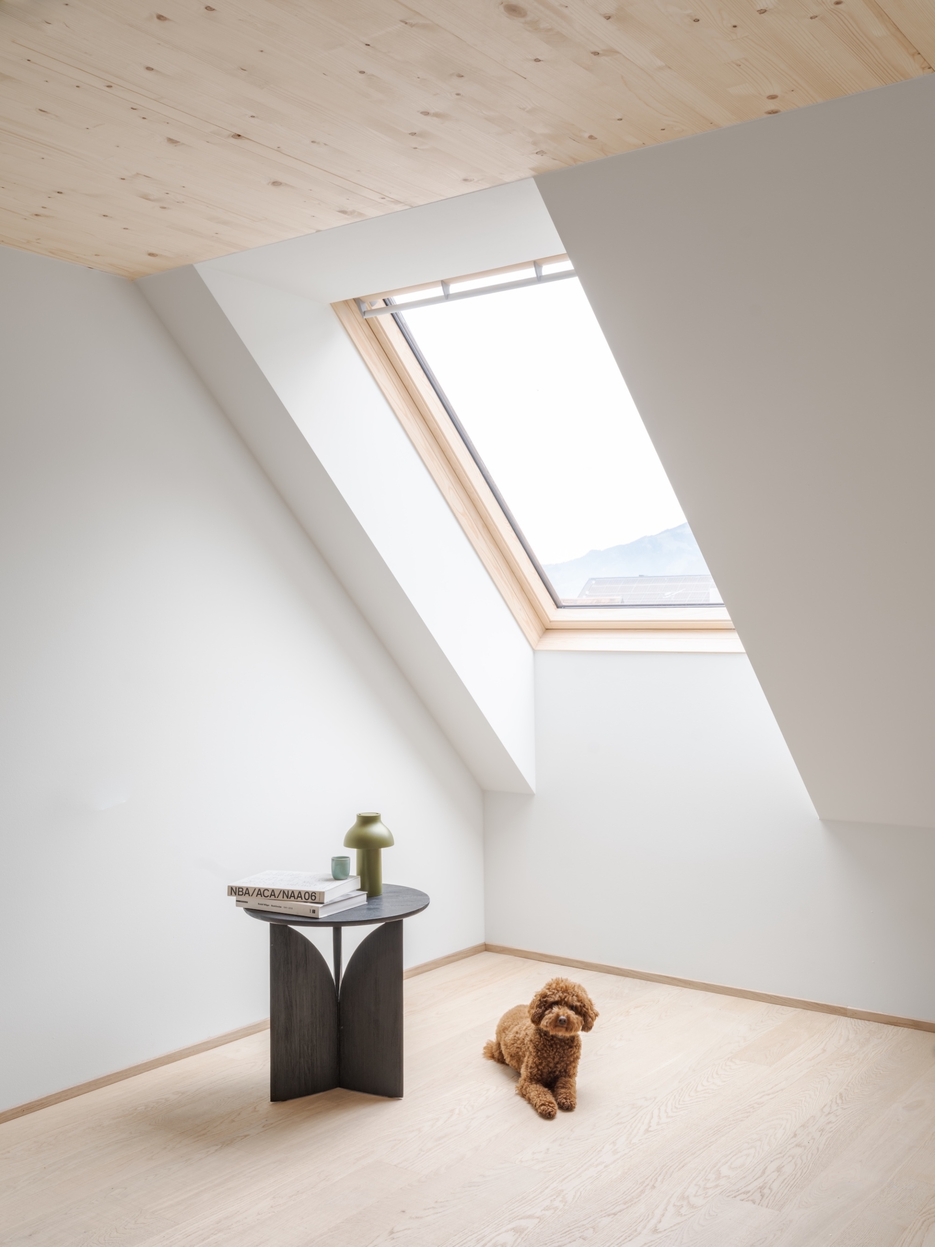 Schadenbauer Quartiersentwicklung Denkmalschutz Holzbau